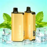 Alibarbar INGOT9000 puffs Disposable Vape - 图片 10